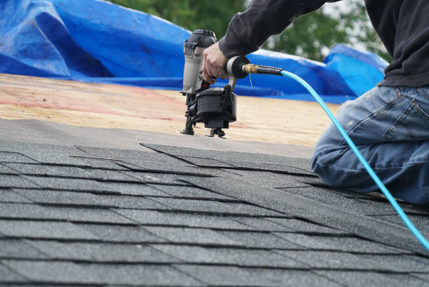 Roof Gutter Cleaning in Timberlake, VA